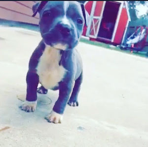 Meet your Posher, Mark